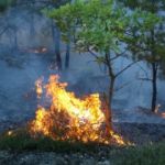 Incendies